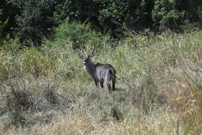 DSC_4016 (Large).JPG